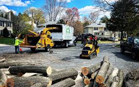 Trusted Cedar Hills, UT Tree Removal and Landscaping Services Experts